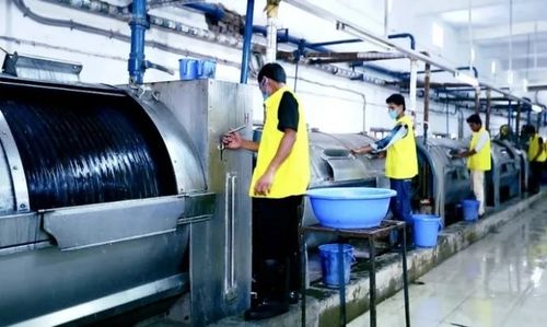 Eco-Friendly Neutralizing Agents for Removing Oxidizing Residues in Denim Washing
