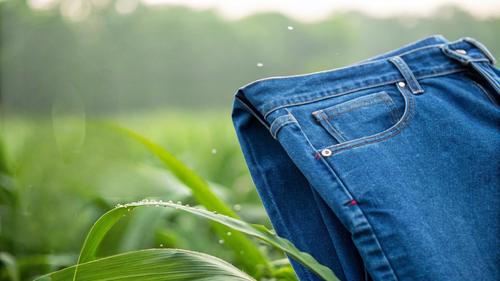 Latest company Solutions about Advanced Textile Enzyme Solution for Sustainable Denim Finishing