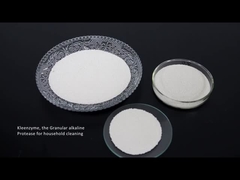 Detergent enzyme protease cellulase amylase