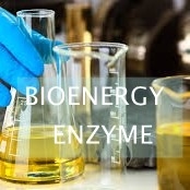 Good price ISO Lipase Catalyzed Conversion Of Waste Cooking Oil Into Biodiesel online