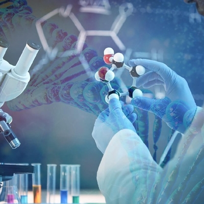 Good price Get Ahead of the Competition: Harnessing the Full Potential of Candida Antarctica Lipase B online