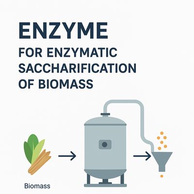 Good price Enzyme Blend Achieves High Glucose Yields from Various Feedstocks Maximizing Output in Bioethanol Production Facilities online
