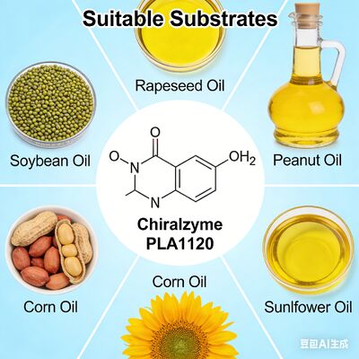 Good price KDN Chiralzyme PLA1120: Superior Oil Degumming Enzyme for Crude Oil Refining online