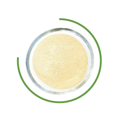 Good price Trichoderma Reesei Cellulase Washing Powder Microbial Enzymes In Textile Industry online