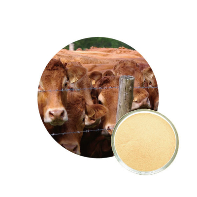 Good price Alkaline Protease Enzyme In Poultry Feed online