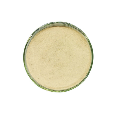 Good price Lipase Super Y Enzyme Catalysts Revolutionize Biodiesel Production online