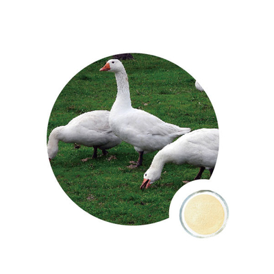 Good price 50000U g Nsp Enzymes In Poultry online