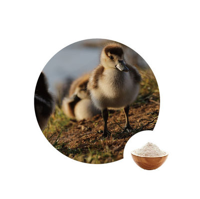 Good price 10000u G Glucose Oxidases In Food Industry Ec Number 1.1.3.4 Poultry Enzymes online