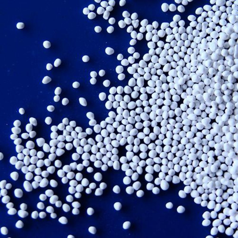 Optimizing Lipase for More Efficient Biodiesel Production