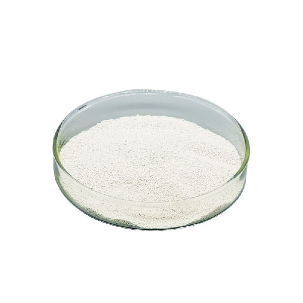 Amylase Protease Detergent Enzyme Serine Alkaline Lipase