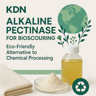 Good price Sustainability Promotes eco-friendly practices Textile Amylase for GOTS Certification online