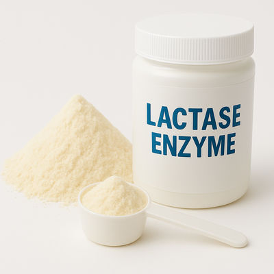 Good price Beta-Galactosidase Enzyme Lactase Substitute For Lactose-Free Dairy Products Food Enzymes online