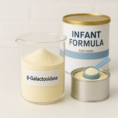 Good price Light Yellow Powder Lactose Free Dairy Yogurt Irreversible Binding Forms Covalent Bonds Resistant to Heat online
