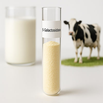 Good price Customizable Dosage Lactose Free Dairy Yogurt In Light Yellow Powder For Various Processing Needs online