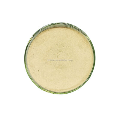 Good price Highly Concentrated Cellulase Powder for Denim Washing with Wide Temperature Range and Premium Wash Looks online