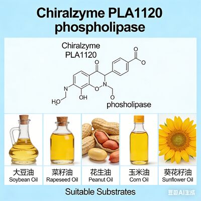 Good price Chiralzyme PLA1120 | High-Efficiency Phospholipase A1 for Oil Degumming | KDN online