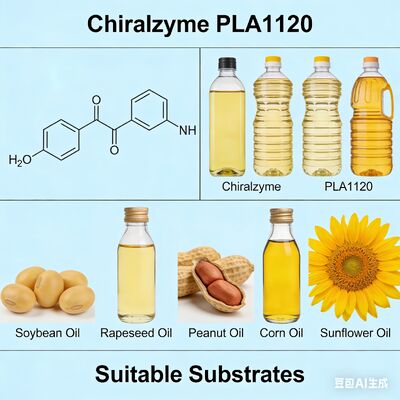 Good price Chiralzyme PLA1120 | Food-Grade Enzyme for Cost-Saving Oil Refining online