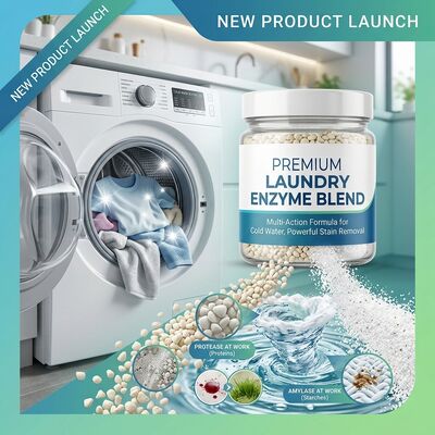 Good price Cold Water Active Detergent Enzyme Blend Alkaline Protease Amylase For Low Temperature Laundry online