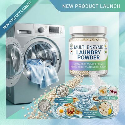 Good price Multi Enzyme Household Cleaner Powder Protease Amylase Lipase Cellulase All Purpose Home Cleaning online